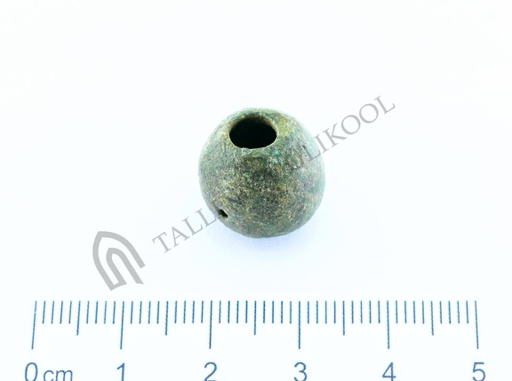 AI-4161:380 Virunuka kalme (f. Mari-Liis Posti)