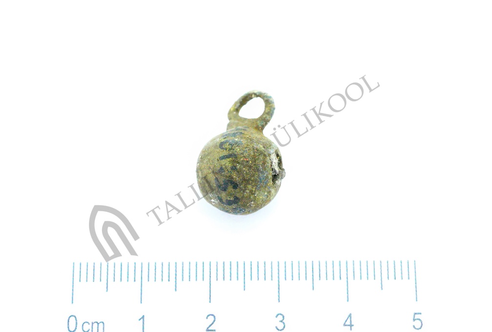 AI-4161:539 Virunuka kalme (f. Mari-Liis Posti)