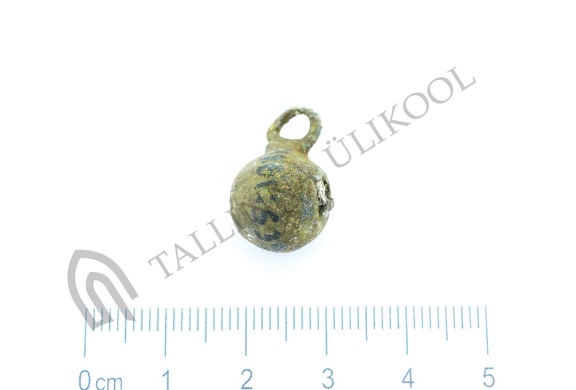 AI-4161:539 Virunuka kalme (f. Mari-Liis Posti)