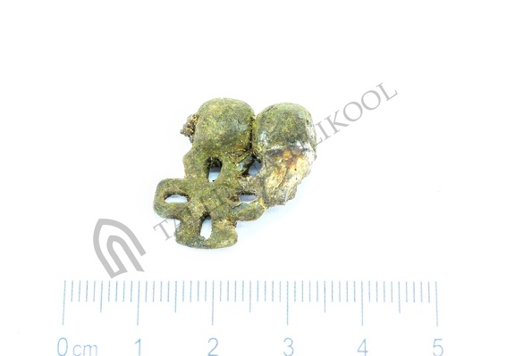 AI-4161:546 Virunuka kalme (f. Mari-Liis Posti)