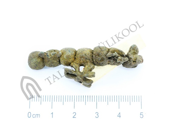 AI-4161:644 Virunuka kalme (f. Mari-Liis Posti)