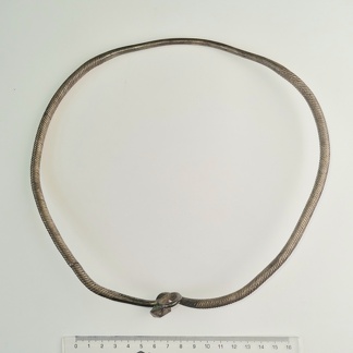 AI-1685:1 Permi kubermang, nn. Permi tüüpi kaelavõru (f. Heikki Pauts)