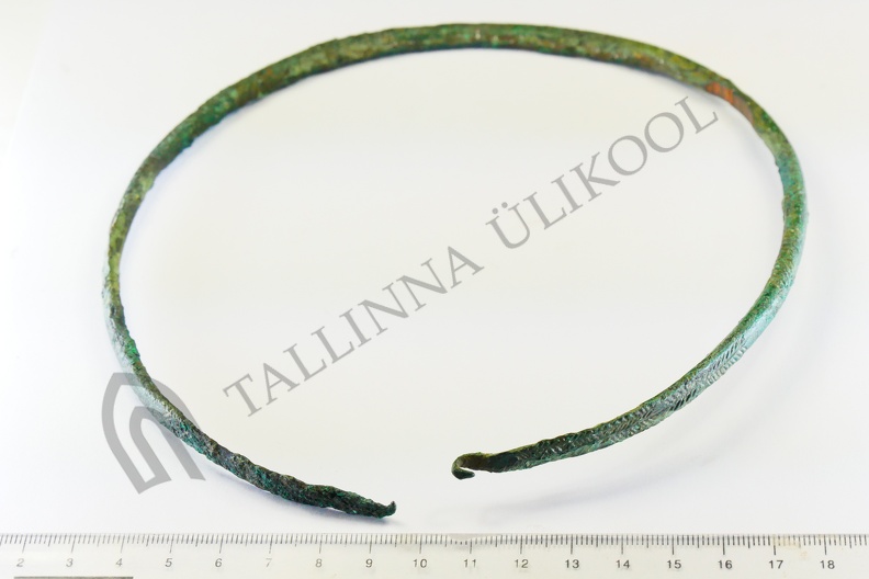 AI-2570:5 Jäbara kalme (f. Mari-Liis Posti) (2)