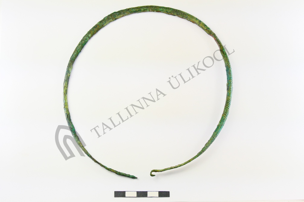AI-2570:5 Jäbara kalme (f. Mari-Liis Posti)