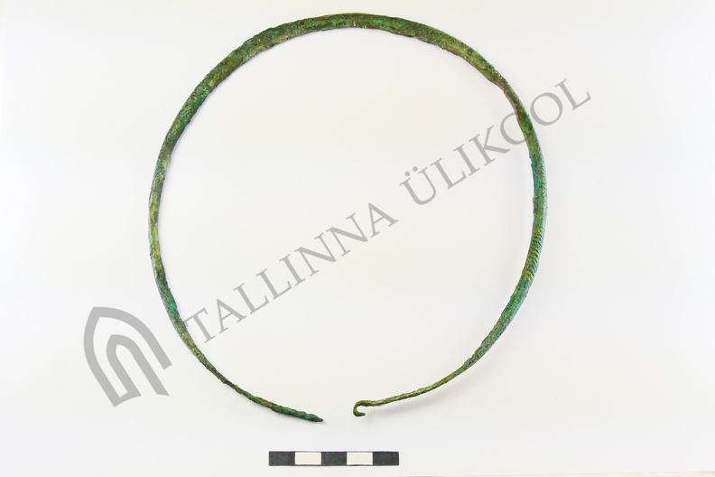 AI-2570:5 Jäbara kalme (f. Mari-Liis Posti)