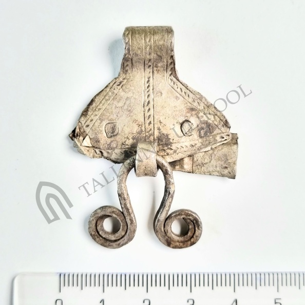 AI-2178 Leiukoht teadmata (f. Heikki Pauts)