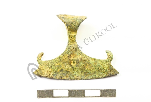 AI-8713:1 Nurmetu detektori leid (f. Mari-Liis Posti)