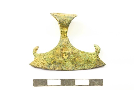 AI-8713:1 Nurmetu detektori leid (f. Mari-Liis Posti)