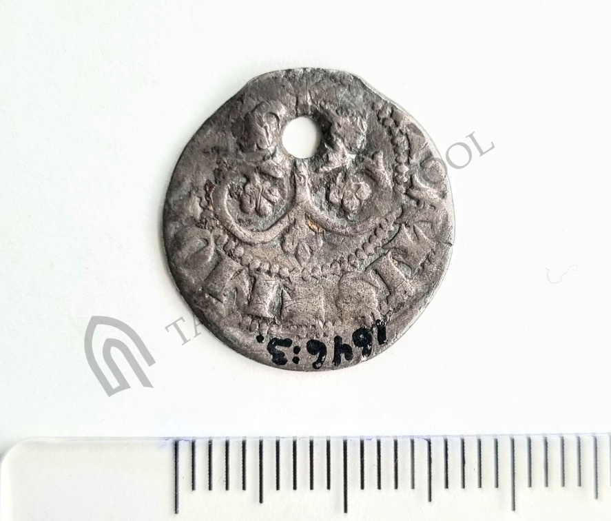 AI-1646:3 Vara kalme, ripatsmünt (f. Heikki Pauts)