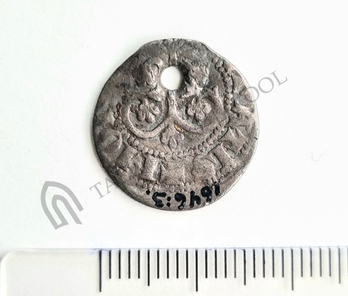 AI-1646:3 Vara kalme, ripatsmünt (f. Heikki Pauts)