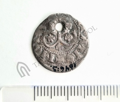 AI-1646:3 Vara kalme, ripatsmünt (f. Heikki Pauts)