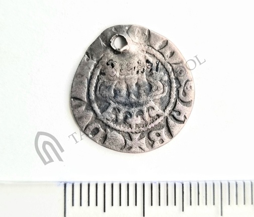 AI-1646:2 Vara kalme, ripatsmünt (f. Heikki Pauts)