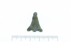 AI-4262:259 Virunuka kalme (f. Mari-Liis Posti)