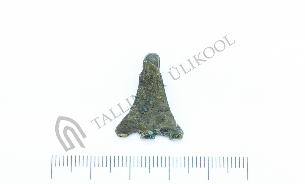 AI-4262:259 Virunuka kalme (f. Mari-Liis Posti)