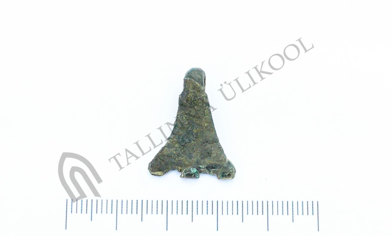 AI-4262:259 Virunuka kalme (f. Mari-Liis Posti)
