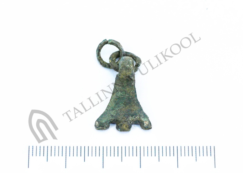 AI-4262:601 Virunuka kalme (f. Mari-Liis Posti)