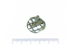 AI-8599:1 Kaidma detektori leid (f. Mari-Liis Posti)
