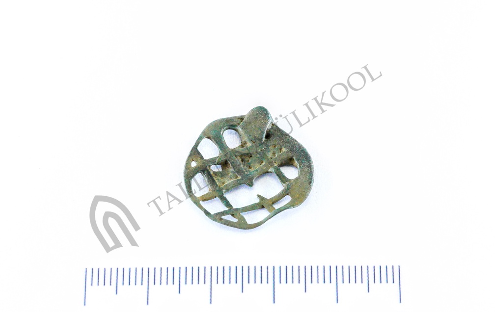 AI-8599:1 Kaidma detektori leid (f. Mari-Liis Posti)