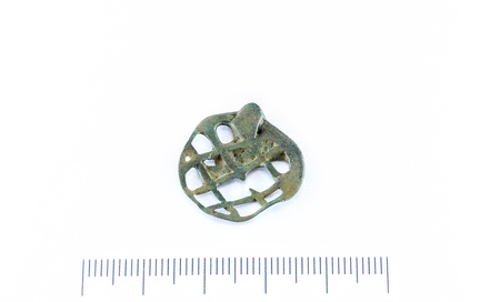 AI-8599:1 Kaidma detektori leid (f. Mari-Liis Posti)